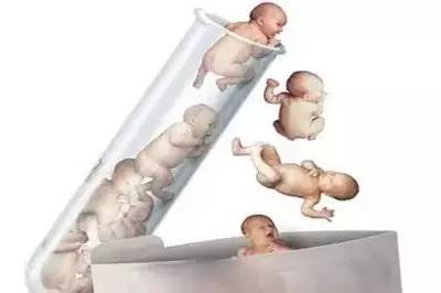 林主任
